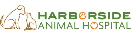 Harborside Animal Hospital